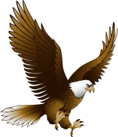 WEBP