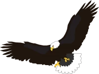 WEBP
