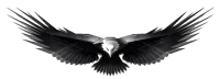WEBP