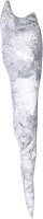 WEBP