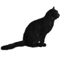 WEBP