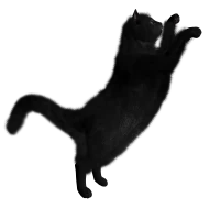 WEBP