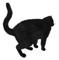 WEBP