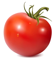 WEBP