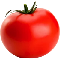 WEBP