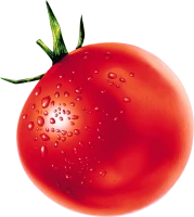 WEBP