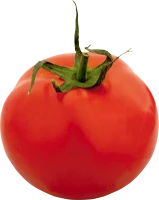 WEBP