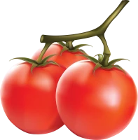 WEBP
