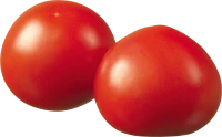 WEBP