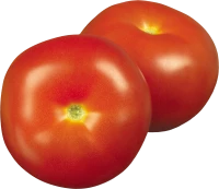 WEBP