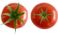 WEBP