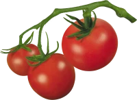 WEBP