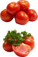 WEBP