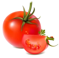 WEBP