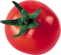 WEBP