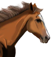 WEBP