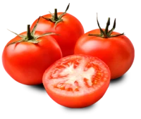WEBP