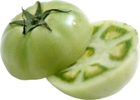 WEBP