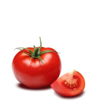 WEBP