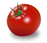 WEBP