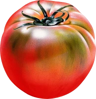 WEBP