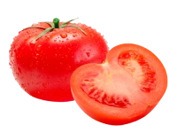 WEBP