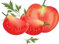 WEBP