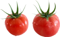 WEBP