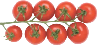WEBP