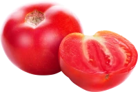 WEBP