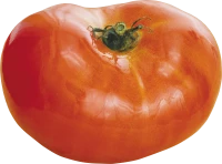 WEBP