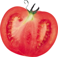 WEBP