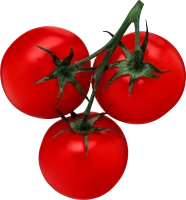 WEBP