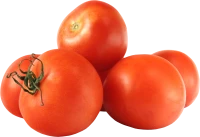 WEBP