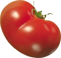 WEBP