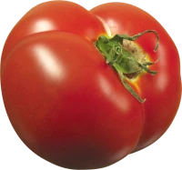 WEBP