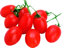 WEBP