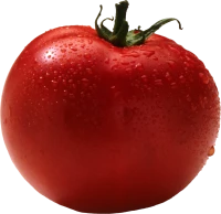 WEBP