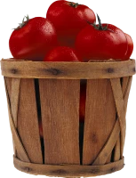 WEBP
