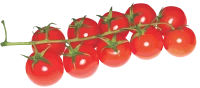 WEBP