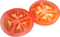 WEBP