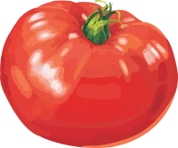 WEBP