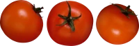 WEBP