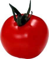 WEBP