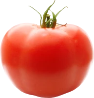 WEBP