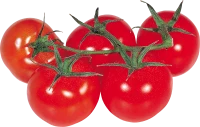 WEBP