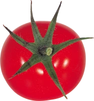 WEBP