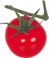 WEBP