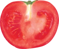 WEBP