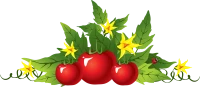 WEBP
